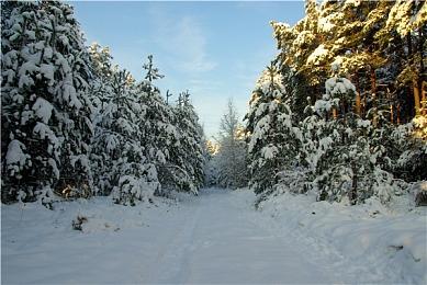 日本一公开ADV新作《这里，来自母星》首段宣传影像